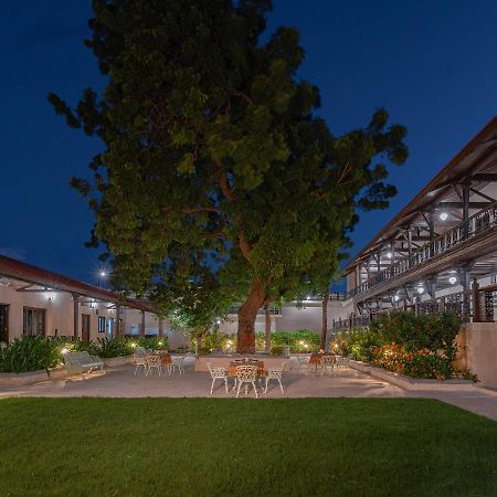 Tree Of Life Darbargadh Dared Hotel ภาวนาการ์ ภายนอก รูปภาพ